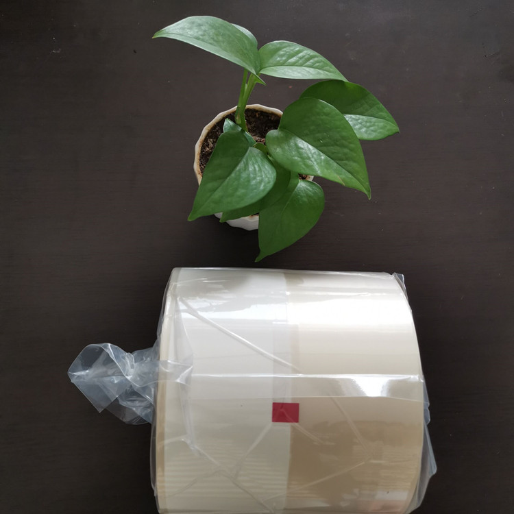分析常見的可降解藥品包裝膜具有的獨特性能